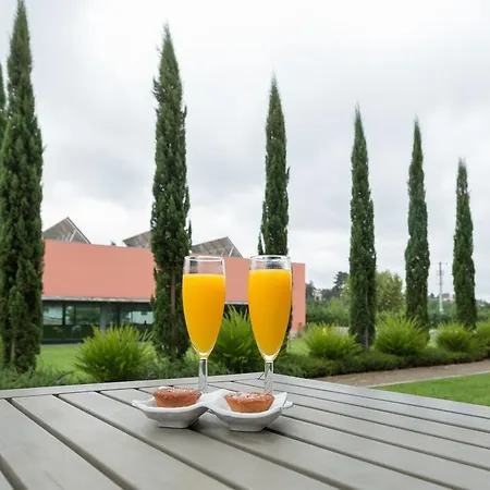 Quinta Da Cruz & Hotel Oliveira (Porto)