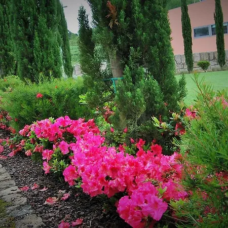 Quinta Da Cruz & 4* Oliveira (Porto)