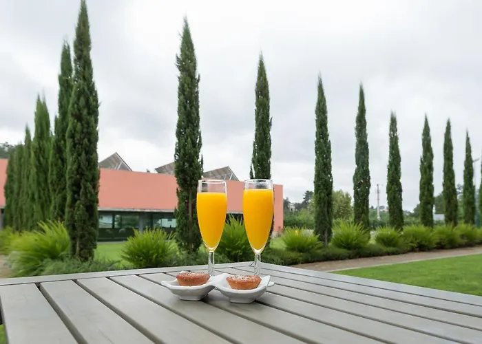 Quinta Da Cruz & Ξενοδοχείο Oliveira (Porto)