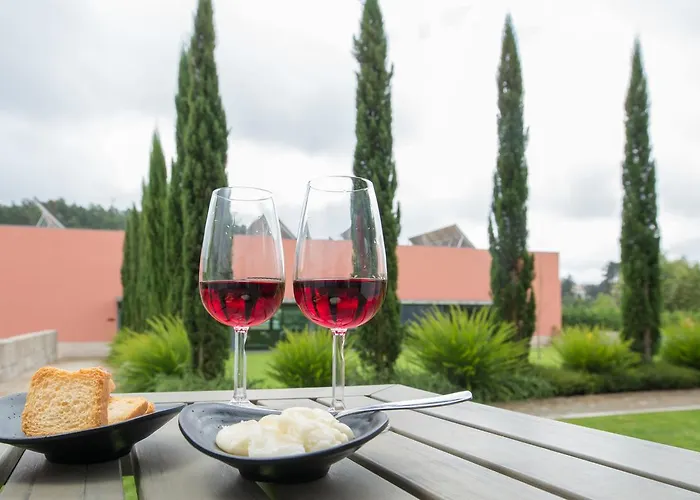 Quinta Da Cruz & Hotel Oliveira (Porto)